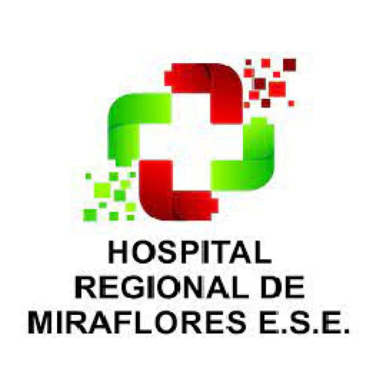 Hospital regional de Miraflores 1 768x768
