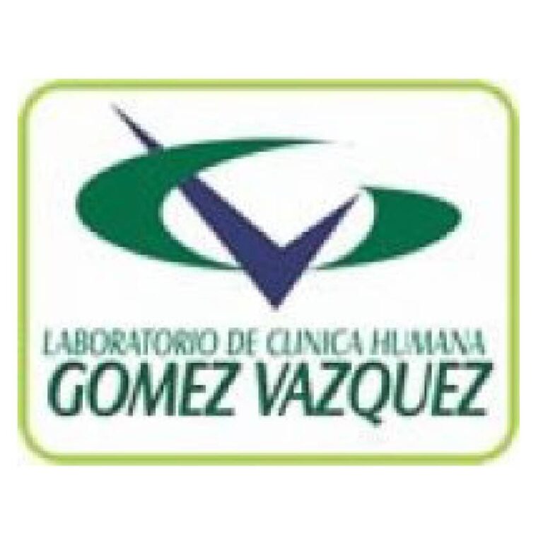 gomez vazquez Mesa de trabajo 1 1 768x769